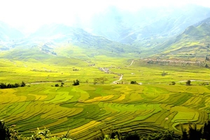 MÙ CANG CHẢI - TRẠM TẤU