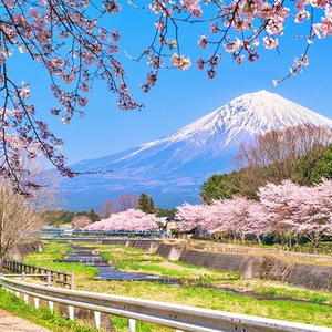 HÀ NỘI - NAGOYA - OSAKA – NARA - KYOTO – TOYOHASHI– NÚI PHÚ SĨ - TOKYO
