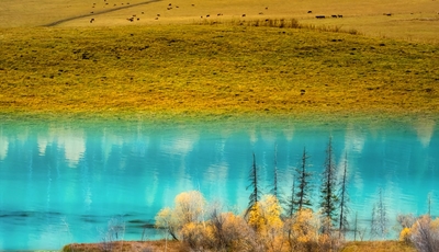 Du Lịch Tân Cương Mùa Thu | Altay – Kanas – Làng Hemu Tuyệt Đẹp