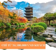 HÀ NỘI - OSAKA – NARA - KYOTO – TOYOHASHI–  NÚI PHÚ SĨ - TOKYO