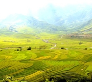 MÙ CANG CHẢI - TRẠM TẤU