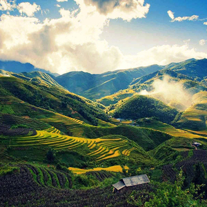 SAPA - LAO CHẢI TẢ VAN - KDL HÀM RỒNG