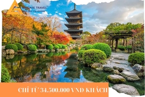 HÀ NỘI - OSAKA – NARA - KYOTO – TOYOHASHI–  NÚI PHÚ SĨ - TOKYO