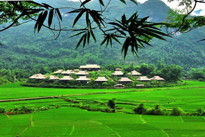 THUNG LŨNG MAI CHÂU