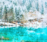 TRÙNG KHÁNH – CỬU TRẠI CÂU – VƯỜN GẤU TRÚC – TRƯỢT TUYẾT  GIA CÔ SƠN