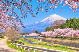 HÀ NỘI - NAGOYA - OSAKA – NARA - KYOTO – TOYOHASHI– NÚI PHÚ SĨ - TOKYO