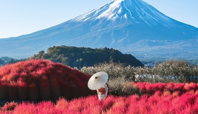 Tour Nhật Bản Mùa Thu 2025 – Ngắm Kochia & Lá Đỏ Kawaguchiko