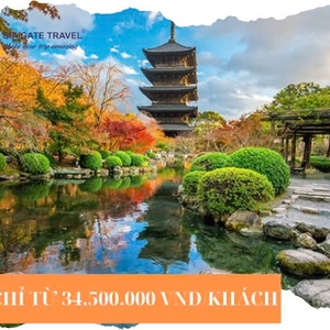HÀ NỘI - OSAKA – NARA - KYOTO – TOYOHASHI–  NÚI PHÚ SĨ - TOKYO